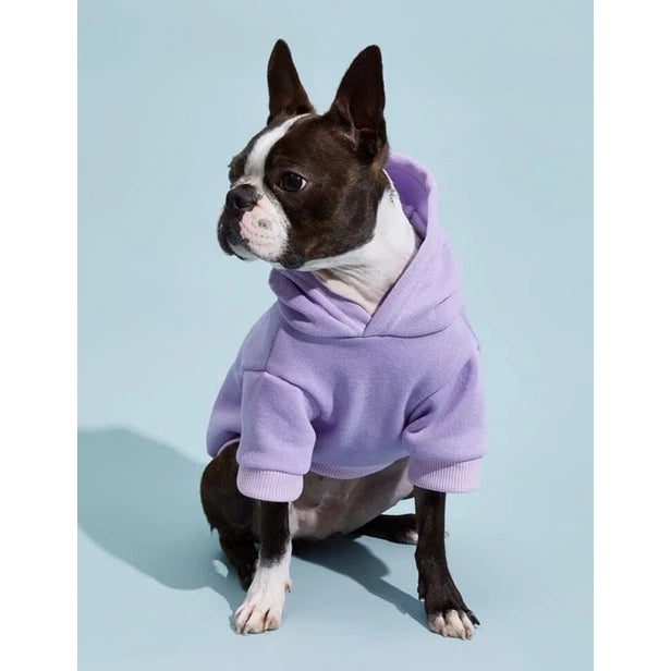 roupa de frio pet, roupa pet, moletom para cachorro, moletom pet, jaqueta pet, moletom para cachorro, moletom para cães, roupa de inverno pet, roupa de inverno para cachorro, mundomiauauau, miauauau