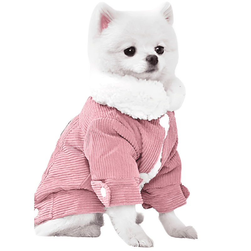 roupa de frio para cachorro, roupa de inverno para cachorro, roupa de frio para raças pequenas, roupa de inverno para raças pequenas, roupa para spitz, roupa para york, roupa para pinscher, blusa para raças pequenas, jaqueta de frio para cachorro pequeno, mundomiauauau, miauauau