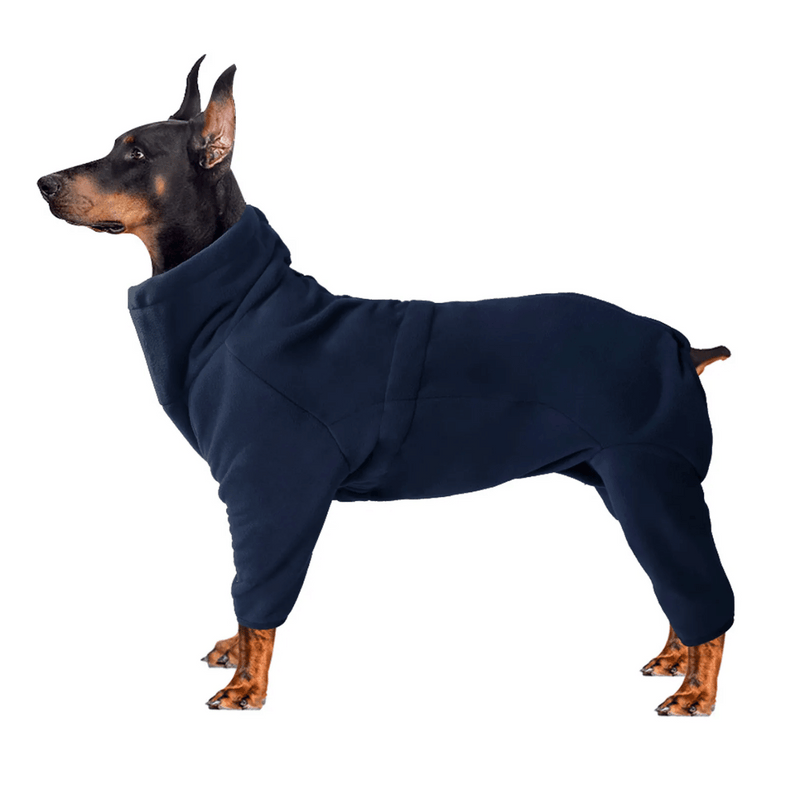 moletom para cachorro, roupa de frio para cachorro, jaqueta para cachorro