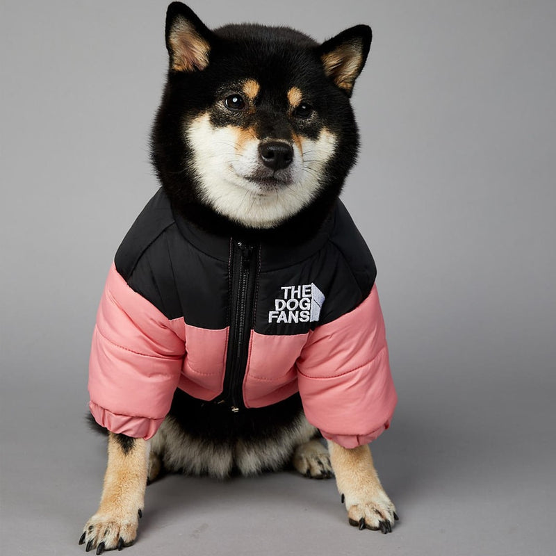 roupa para cachorro, roupa de frio para cachorro, roupa para cães, jaqueta para cachorro, moletom para cachorro, the dog fans, casaco para cachorro, mundomiauauau, miauauau