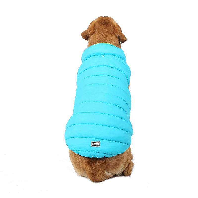 roupa para cachorro, colete para cachorro, roupa de frio para cachorro, roupa de inverno para cachorro, mundomiauauau, miauauau