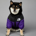 roupa para cachorro, roupa de frio para cachorro, roupa para cães, jaqueta para cachorro, moletom para cachorro, the dog fans, casaco para cachorro, mundomiauauau, miauauau