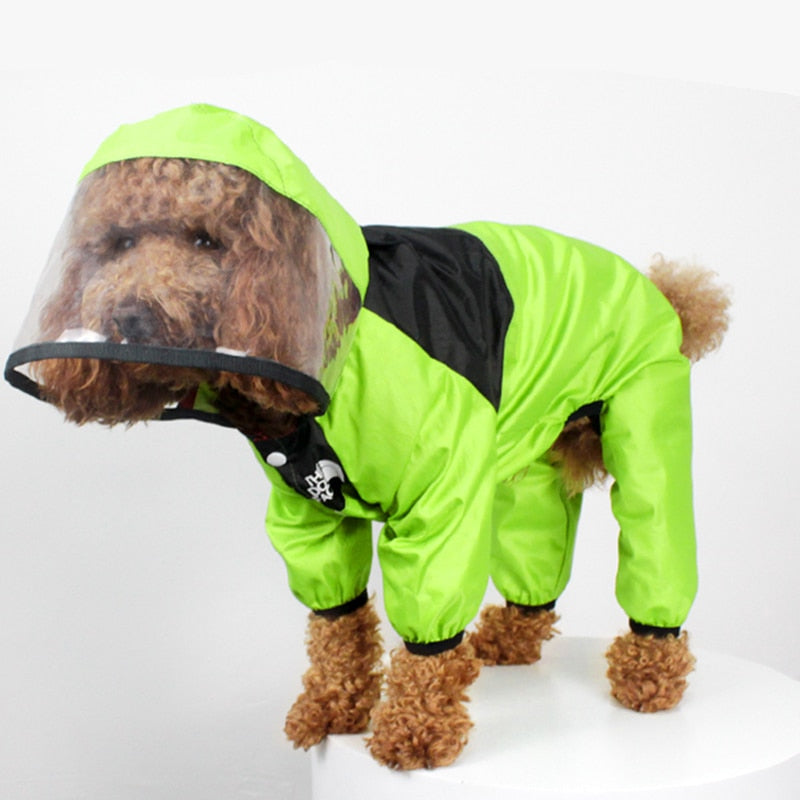 capa de chuva para cães, capa de chuva para cachorro, capinha de chuva para pet, capa de chuva para pet, melhor capa de chuva para cachorro, mundomiauauau, miauauau