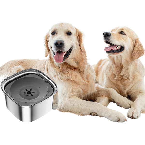 bebedouro para cachorro, bebedouro de inox para cachorro, melhor bebedouro para cachorro, tigela de água para cachorro, bebedouro inteligente para cachorro, bebedouro anti respingo, mundomiauauau, miauauau