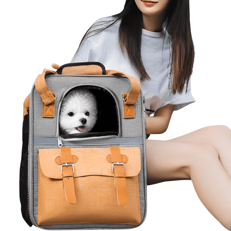 bolsa para viajar com cachorro, bolsa para transportar cachorro, bolsa para passear com cachorro, bolsa de transporte para cachorro, mochila para cachorro, mochila canguru para cachorro, melhor bolsa de transporte para cachorro, mundomiauauau, miauauau