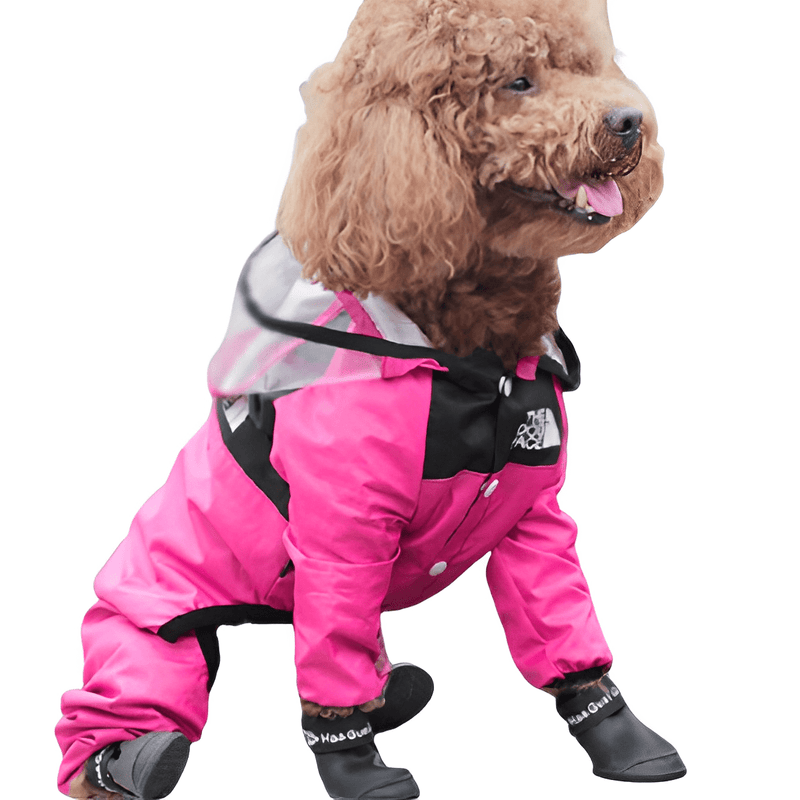 capa de chuva para cães, capa de chuva para cachorro, capinha de chuva para pet, capa de chuva para pet, melhor capa de chuva para cachorro, mundomiauauau, miauauau