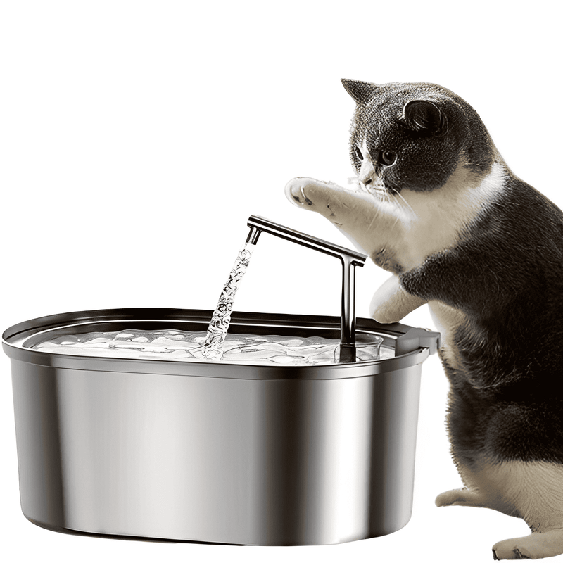 fonte de água para gatos, fonte automática para gatos, bebedouro para gatos, bebedouro inox para gatos, mundomiauauau, miauauau