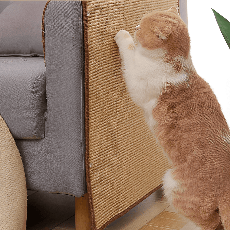 arranhador para gato, protetor de sofa para gato, gatos, melhor arranhador para gato, comprar arranhador para gatos, protetor de moveis para gato, mundomiauauau, miauauau