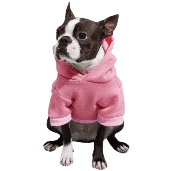 roupa de frio pet, roupa pet, moletom para cachorro, moletom pet, jaqueta pet, moletom para cachorro, moletom para cães, roupa de inverno pet, roupa de inverno para cachorro, mundomiauauau, miauauau