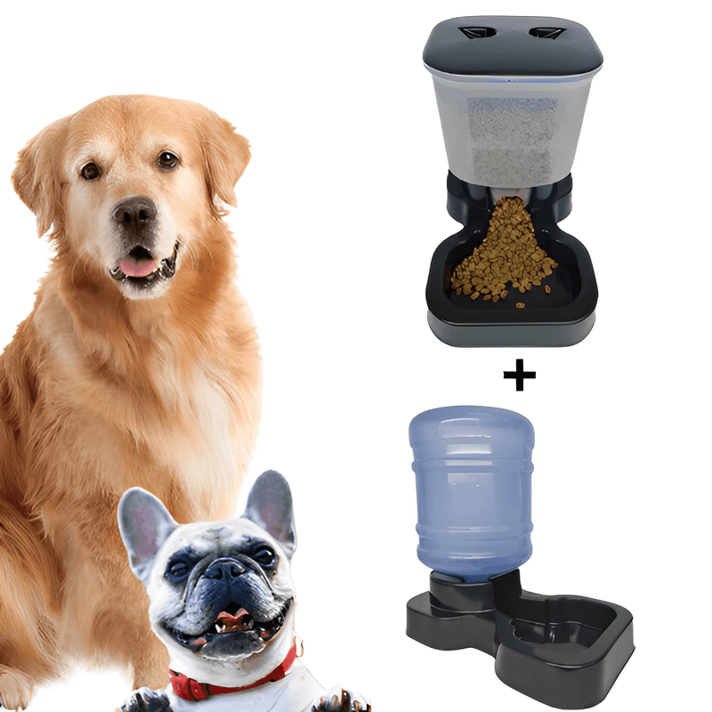 Kit Comedouro e Bebedouro para Cachorro Automático 10L e 6kg