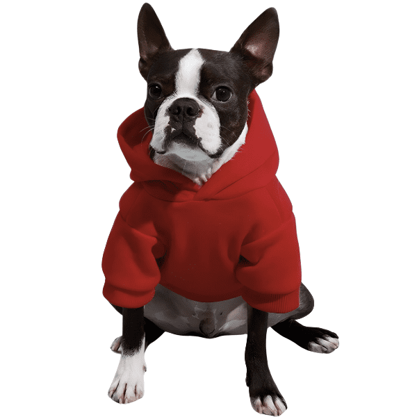 roupa de frio pet, roupa pet, moletom para cachorro, moletom pet, jaqueta pet, moletom para cachorro, moletom para cães, roupa de inverno pet, roupa de inverno para cachorro, mundomiauauau, miauauau