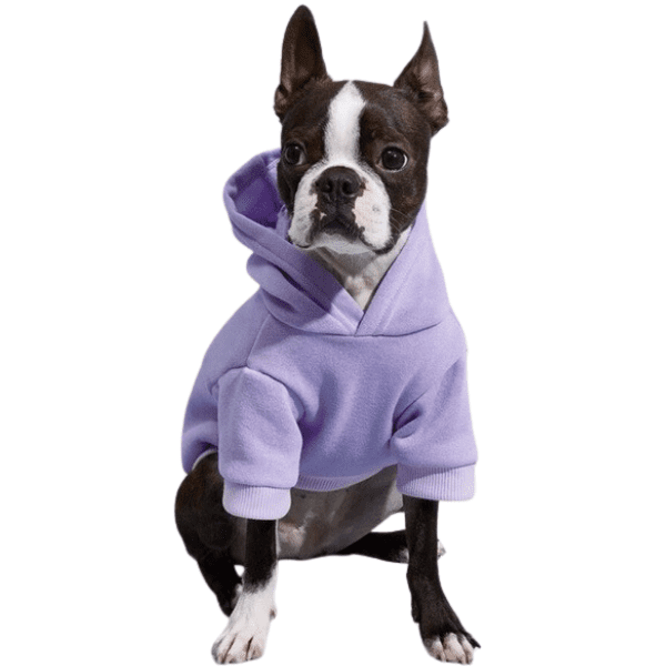 roupa de frio pet, roupa pet, moletom para cachorro, moletom pet, jaqueta pet, moletom para cachorro, moletom para cães, roupa de inverno pet, roupa de inverno para cachorro, mundomiauauau, miauauau