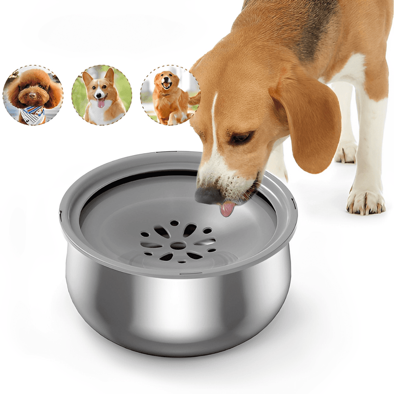 bebedouro para cachorro, bebedouro pet, bebedouro em inox para cachorro, bebedouro para cães, bebedouro anti respingo, bebedouro inteligente para cachorro, bebedouro inox, bebedouro inox para cachorro, Bebedouro inteligente para cachorro, vasilha de agua para cachorro, mundomiauauau, miauauau