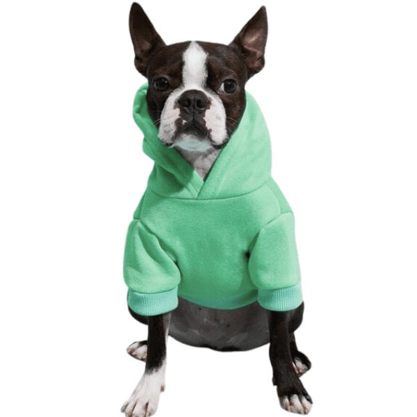 roupa de frio pet, roupa pet, moletom para cachorro, moletom pet, jaqueta pet, moletom para cachorro, moletom para cães, roupa de inverno pet, roupa de inverno para cachorro, mundomiauauau, miauauau