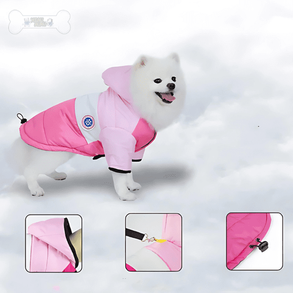 roupa de frio para cachorro, roupa de inverno para cachorro, jaqueta para cachorro, roupa pet, roupa para cachorro pequeno, roupa de frio para raças pequenas, mundomiauauau, miauauau