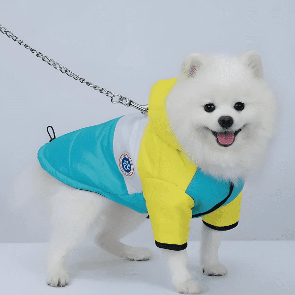 roupa de frio para cachorro, roupa de inverno para cachorro, jaqueta para cachorro, roupa pet, roupa para cachorro pequeno, roupa de frio para raças pequenas, mundomiauauau, miauauau