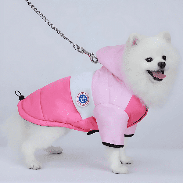 roupa de frio para cachorro, roupa de inverno para cachorro, jaqueta para cachorro, roupa pet, roupa para cachorro pequeno, roupa de frio para raças pequenas, mundomiauauau, miauauau