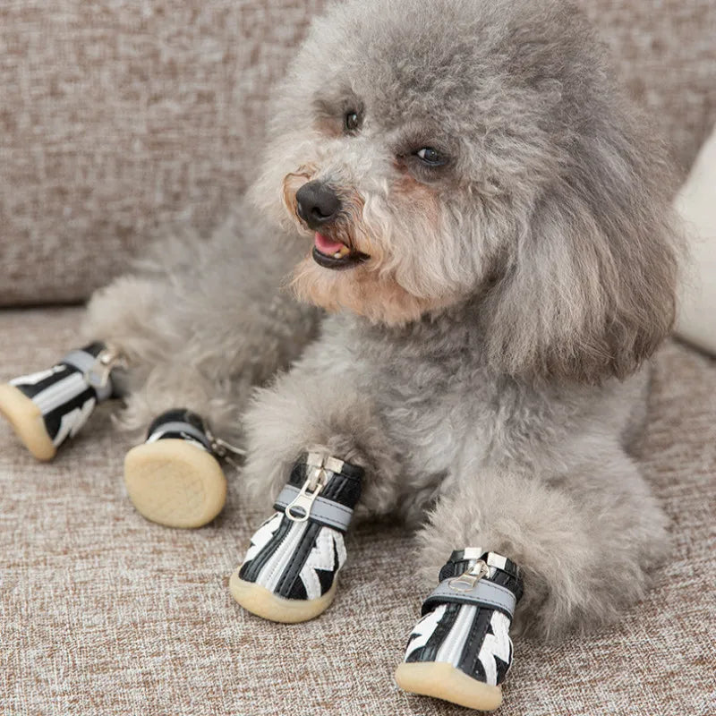 sapato para cachorro pequeno, sapato para cachorro de raça pequena, sapato para cães pequenos, botinha para cachorro, botinha para cães, botinha para cachorro pequeno, sapato para shih tzu, mundomiauauau, miauauau