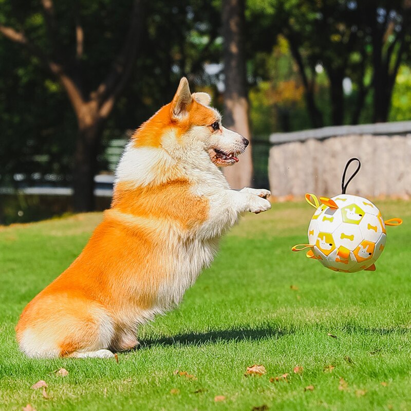 brinquedo para cachorro, brinquedo interativo para cachorro, brinquedo para cães, bola para cachorro, bola interativa para cachorro, brinquedo para cachorro grande, brinquedo para cachorro pequeno, mundomiauauau, miauauau