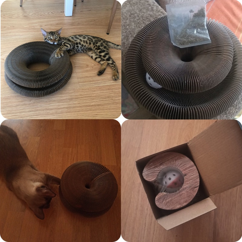 brinquedo para gatos, arranhador para gatos, protetor de móveis para gato, protetor de sofá para gatos, brinquedo interativo para gatos, mundomiauauau, miauauau