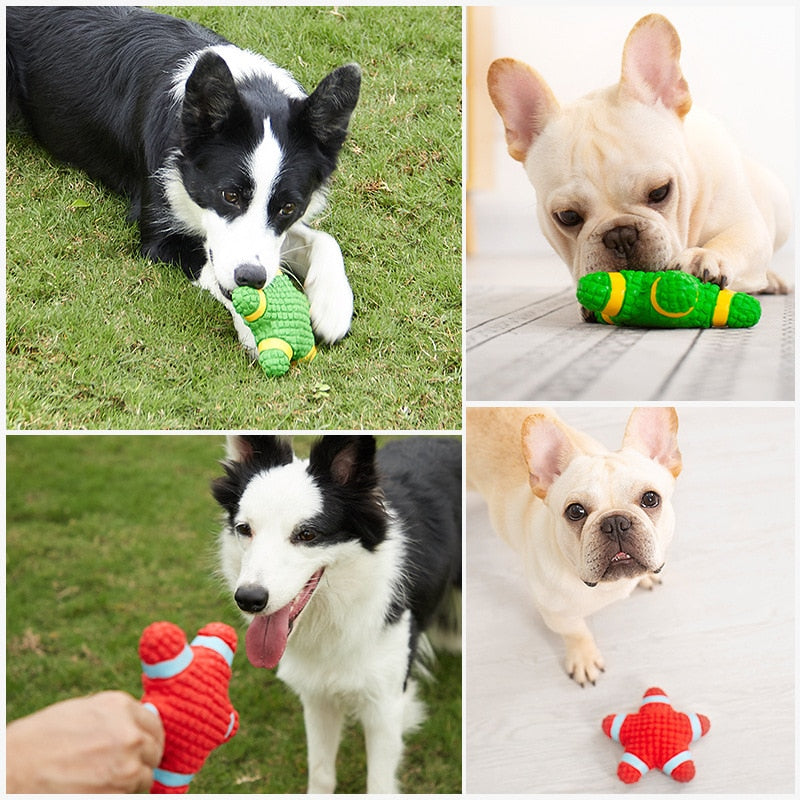 brinquedo interativo para cachorro, brinquedo para cachorro, bola para cachorro, brinquedo indestrutível para cachorro, bolinha para cachorro, brinquedo para cães, brinquedo para cachorro pequeno, brinquedo para bulldog, mundomiauauau, miauauau