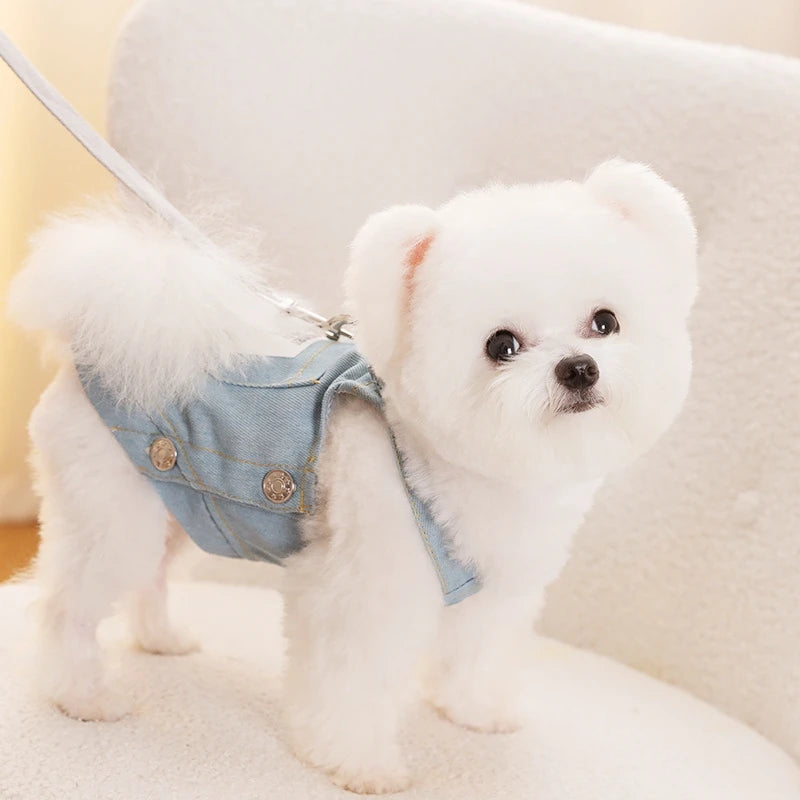 roupa jeans para cachorro, roupa para cães, roupa para cachorro, jeans para cachorro, roupa de frio para cachorro, roupa para cachorro pequeno, roupa de frio para cachorro pequeno, jeans para cachorro pequeno, roupinha para cachorro, mundomiauauau, miauauau