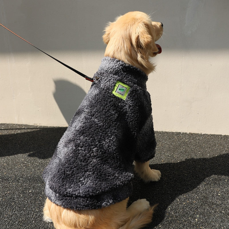 roupa de frio para cachorro, roupa de frio para cachorro médio, roupa de frio para cachorro grande, roupão para cachorro, jaqueta para cachorro, moletom para cachorro, roupa de inverno para cachorro, labrador, golden retriever, roupa para golden, mundomiauauau, miauauau