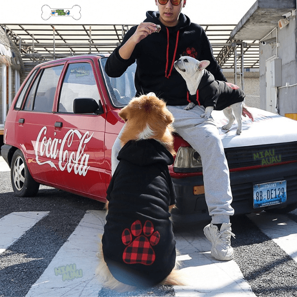 roupa de frio para cachorro, moletom para cachorro, jaqueta para cachorro, roupa de inverno para cachorro, casaco para cachorro, jaqueta para cachorro, roupa para cachorro pequeno, mundomiauauau, miauauau