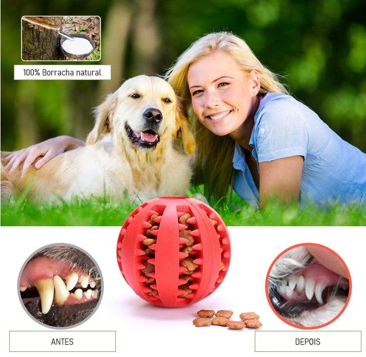 bolinha de enriquecimento ambiental, brinquedo para limpeza de dentes de cachorro, bola de enriquecimento ambiental para cachorro, saúde bucal canina, escovação de dentes de cachorro, cuidados com a boca do cachorro, mundomiauauau, miauauau