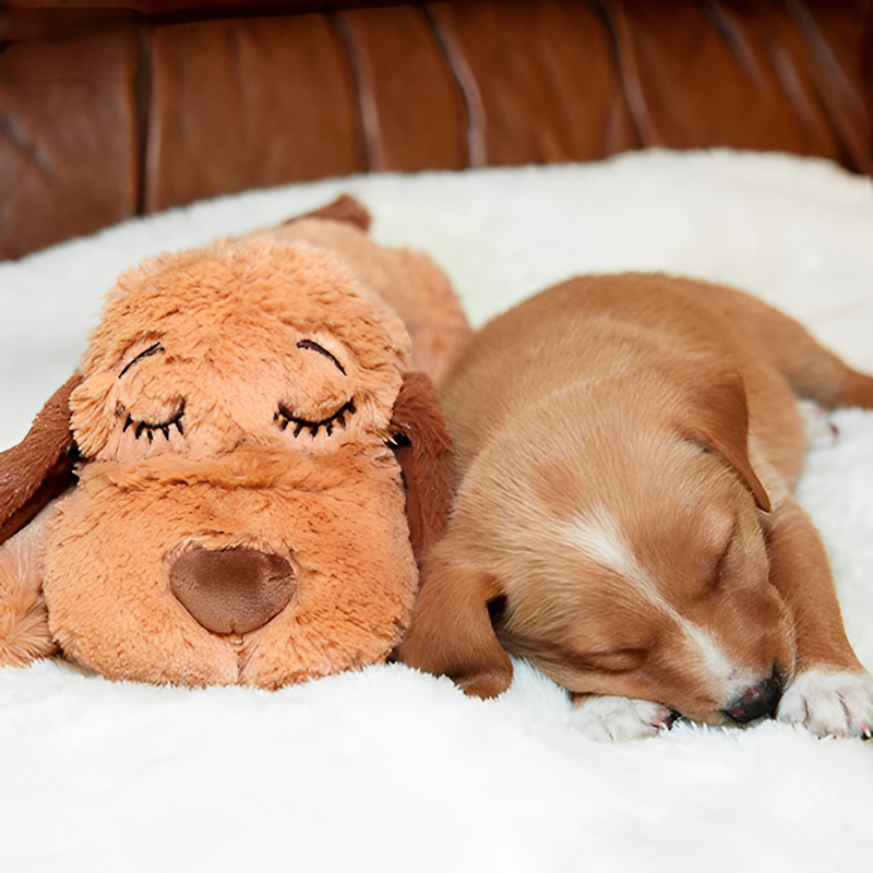 cachorro de pelúcia, ansiedade de separação cachorro, bichinho companheiro de cachorro, ansiedade de separação canina, bulldog ansiedade de separação, poodle, beagle, brinquedo para cachorro ansioso, brinquedo para ansiedade de cachorro, cachorro com ansiedade, mundomiauauau, miauauau