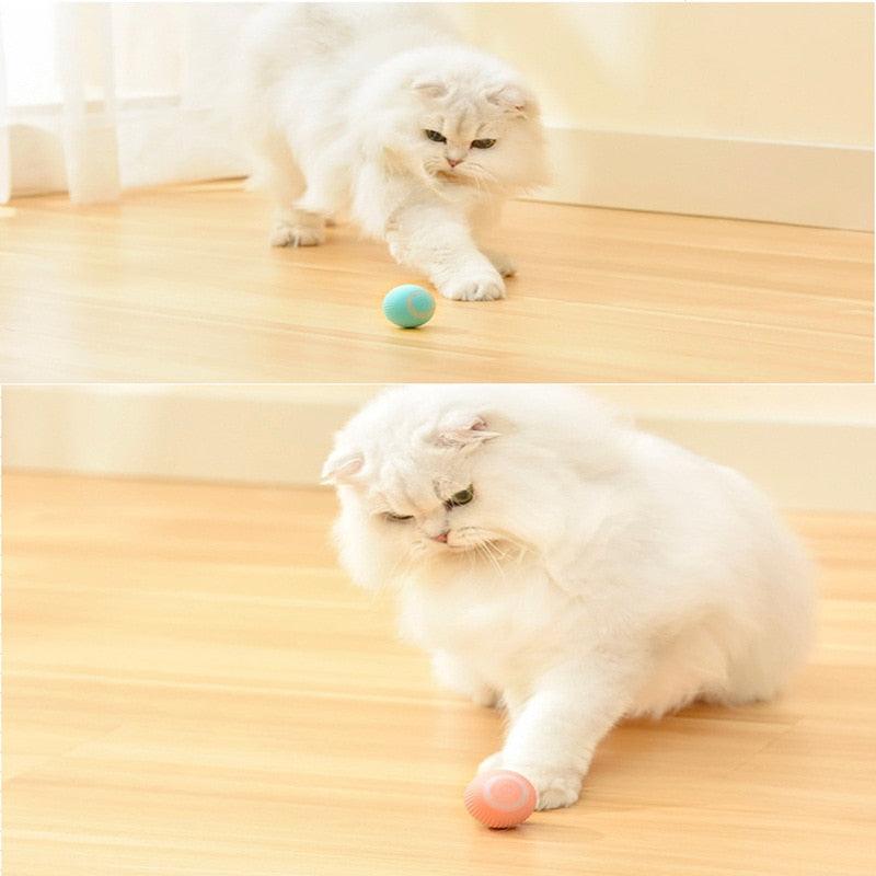 brinquedo interativo para gatos, bola para gatos, bola inteligente para gatos, bolinha para gatos, melhor brinquedo para gatos, mundomiauauau, miauauau