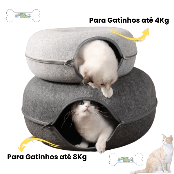 Grande caverna para gatos, parte superior transparente removível, cama de  gato de feltro com pernas de madeira para todas as estações