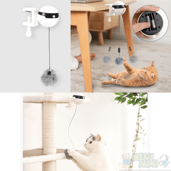 brinquedo interativo para gatos, pêndulo para gatos, brinquedo para gatos, brinquedo automático, brinquedo elétrico para gatos, mundomiauauau, miauauau