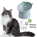 comedouro para gato, comedouro ergonômico, tigela de alimentação para gato,  melhor comedouro para gato, Comedouro para pet fácil de limpar e higienizar, vasilha de alimentação para gato, comedouro resistente para gato, mundomiauauau, miauauau