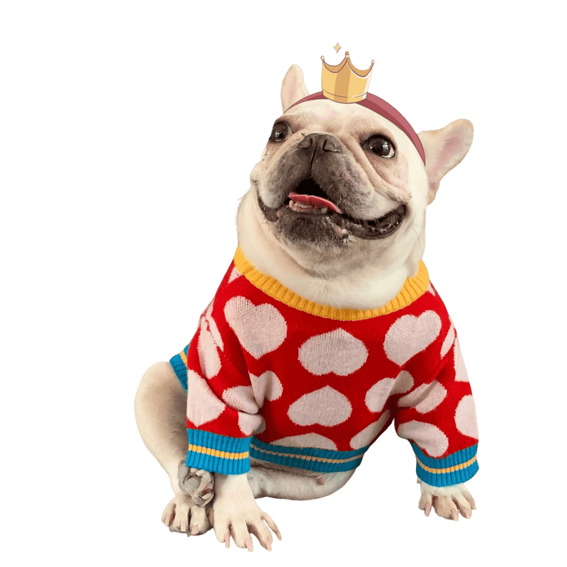 Roupa Suéter de Tricot Para Cachorro - Pet Date - mundomiauauau