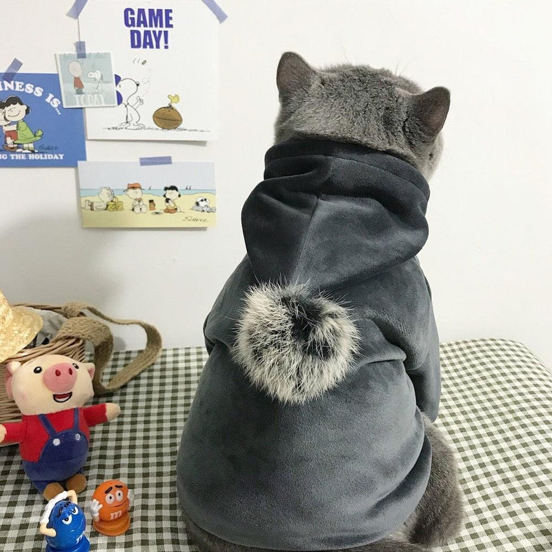 moletom para gato, jaqueta para gato, roupa para gato, moletom com capuz para gato, mundomiauauau, miauauau