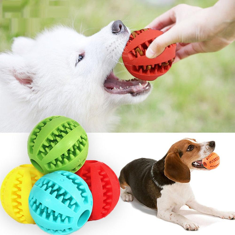 bolinha de enriquecimento ambiental, brinquedo para limpeza de dentes de cachorro, bola de enriquecimento ambiental para cachorro, saúde bucal canina, escovação de dentes de cachorro, cuidados com a boca do cachorro, mundomiauauau, miauauau