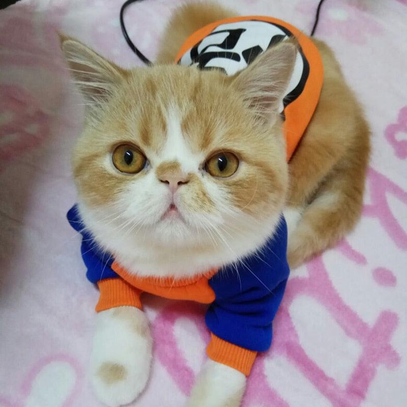 roupa pet, roupa pet para gato, blusa pet para gato, blusa para gato, casaco para gato, roupa dragon ball para gato, camisa dragon ball para gato, casaco dragon ball para gato, mundo miauauau, miauauau