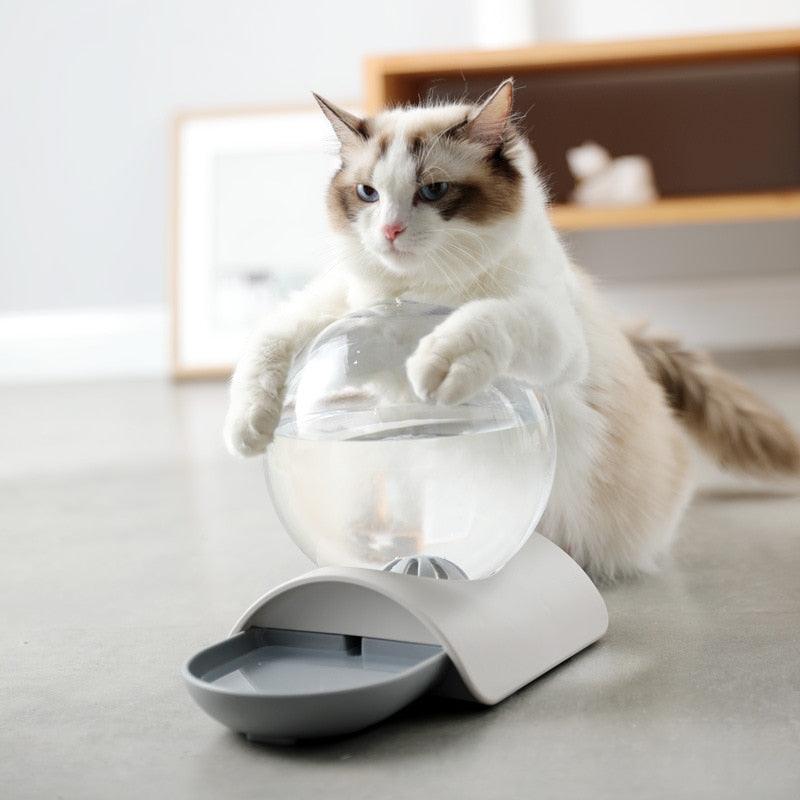 bebedouro para gatos, bebedouro automático para gatos, fonte de água automática para gatos, fonte de água para gatos, mundo miauauau, miauauau