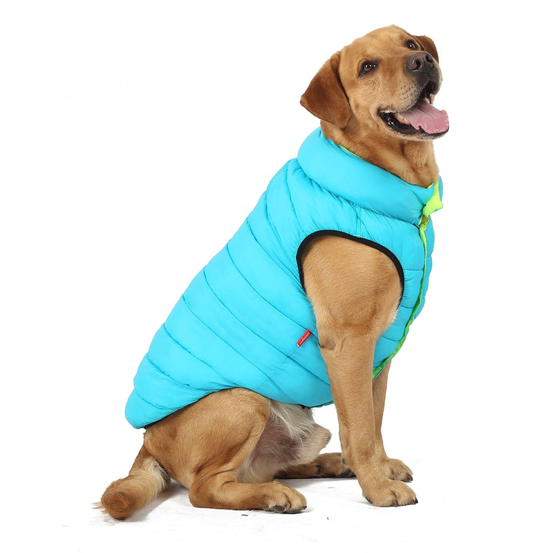 roupa para cachorro, colete para cachorro, roupa de frio para cachorro, roupa de inverno para cachorro, mundomiauauau, miauauau