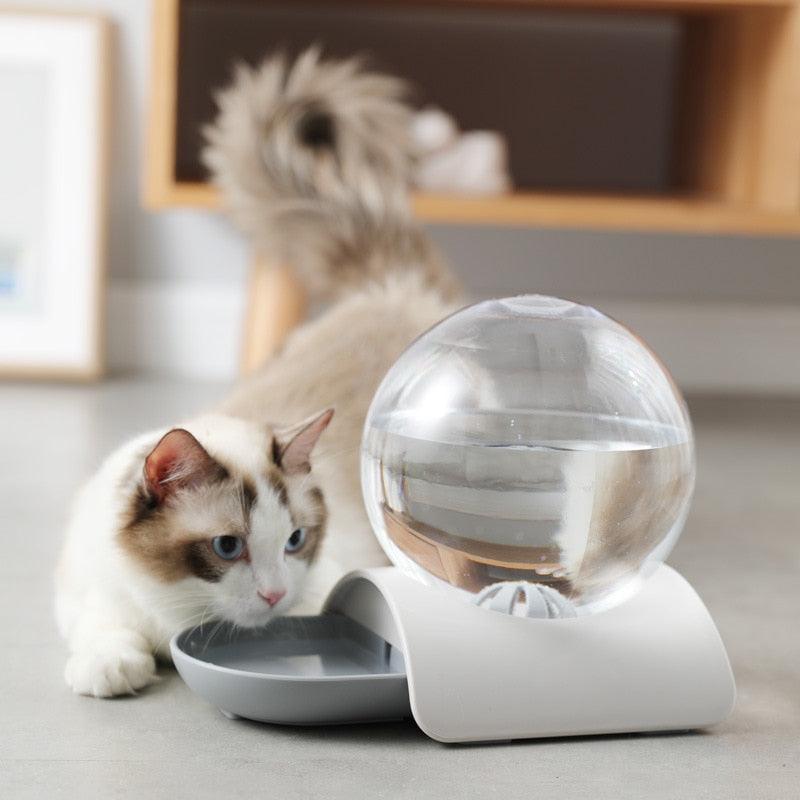 bebedouro para gatos, bebedouro automático para gatos, fonte de água automática para gatos, fonte de água para gatos, mundo miauauau, miauauau