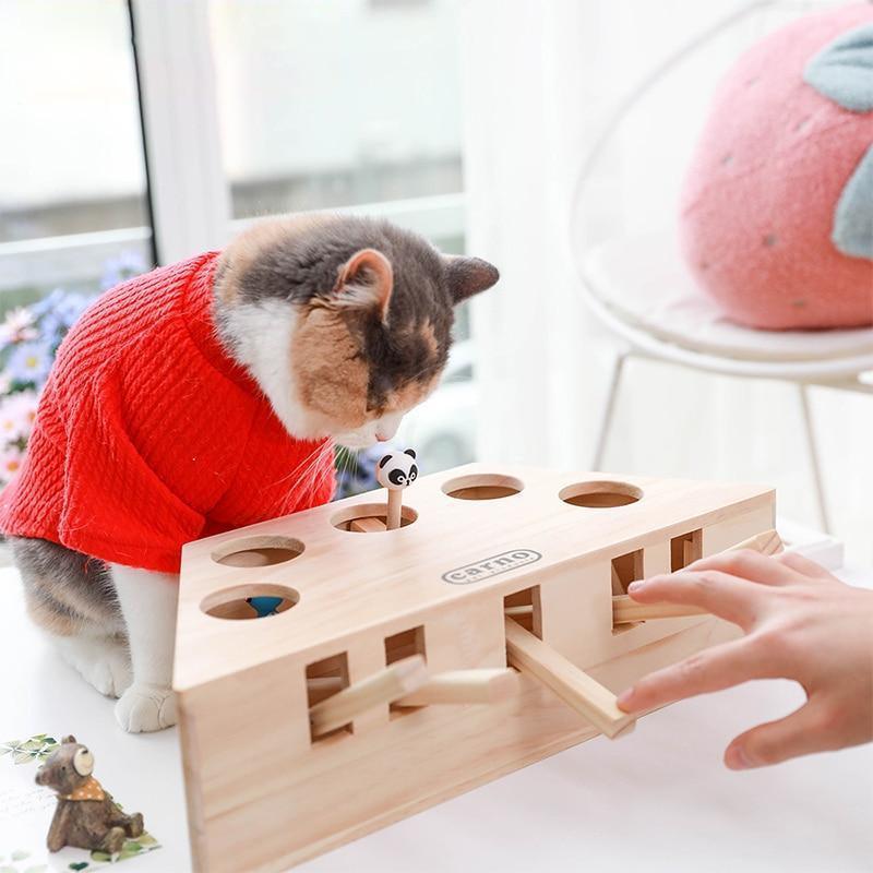 brinquedo para gatos filhotes, brinquedo para gatos adultos, brinquedo para gatos, brinquedo interativo para gatos, brinquedo de madeira para gato, brinquedo automático para gatos, mundomiauauau, miauauau