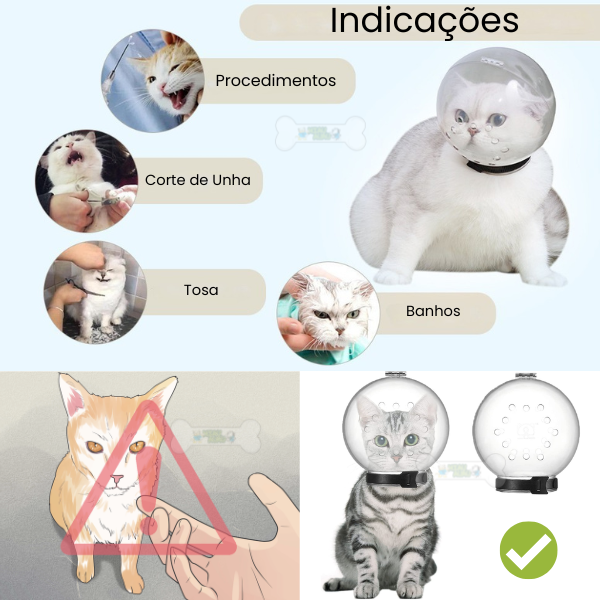 focinheira para gato, colar elizabetano para gato, capacete para gato, focinheira anti mordida para gato, gato pós cirurgia, gato pós operatório, cortar unha de gato, banho em gato, gato brabo, cirurgia de gato, globo para gato, gato estressado, mundomiauauau, miauauau