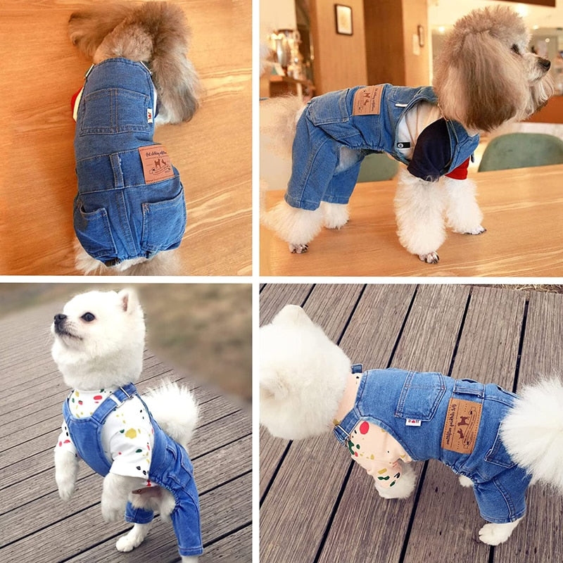 roupa para cachorro, roupa para cachorro pequeno, macacão para cachorro, roupa jeans para cachorro, shih tzu, maltês, roupa para bulldog, roupinha para cachorro, raças pequenas, yorkshire, roupa para poodle, macacão jeans para cachorro, mundomiauauau, miauauau