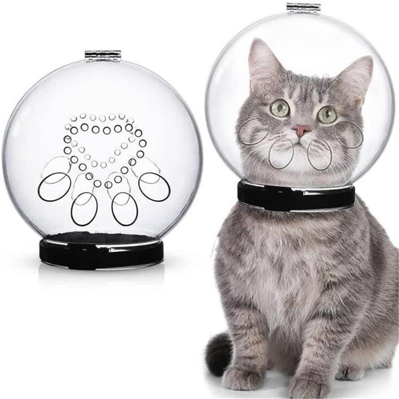 focinheira para gato, colar elizabetano para gato, capacete para gato, focinheira anti mordida para gato, gato pós cirurgia, gato pós operatório, cortar unha de gato, banho em gato, gato brabo, cirurgia de gato, globo para gato, gato estressado, mundomiauauau, miauauau