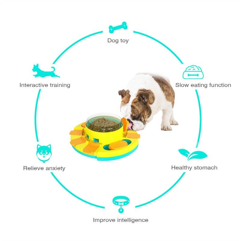 comedouro para cachorro, comedouro para cães, brinquedo para cachorro, alimentador automático para cães, alimentador automático para cachorro, brinquedo de cachorro, porta ração para cachorro, mundomiauau, miauauau