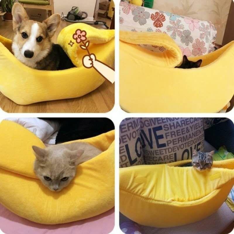 cama para gato, caminha para gatos, banana para gatos, banana, caminha de banana, cama de banana, cat banana, mundo miauauau, miauauau