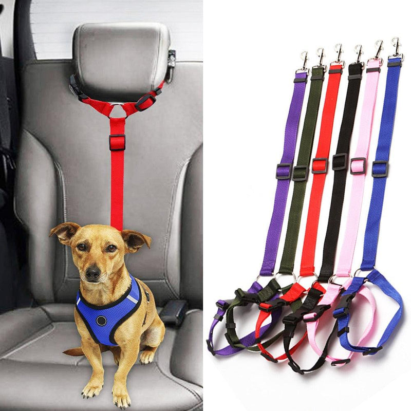 coleira para cachorro, cinto de segurança para cachorro, cinto de segurança para cães, cinto para cachorro multifuncional, cinto de segurança para cachorro em carros, mundomiauauau, miauauau