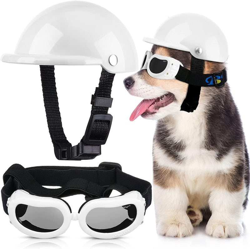 Capacete e Óculos para cachorros - Jax Teller - mundomiauauau