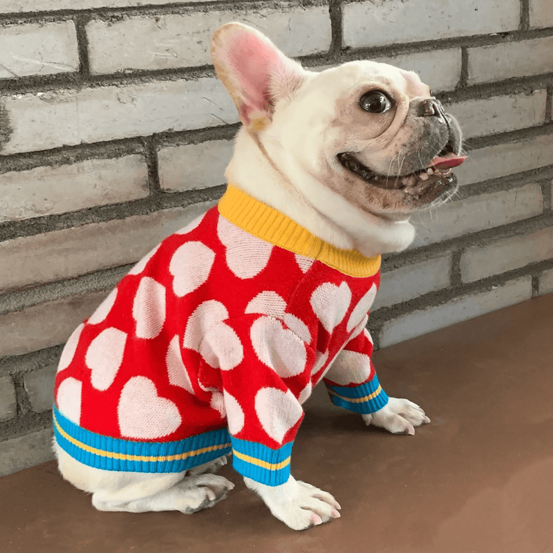 Roupa Suéter de Tricot Para Cachorro - Pet Date - mundomiauauau